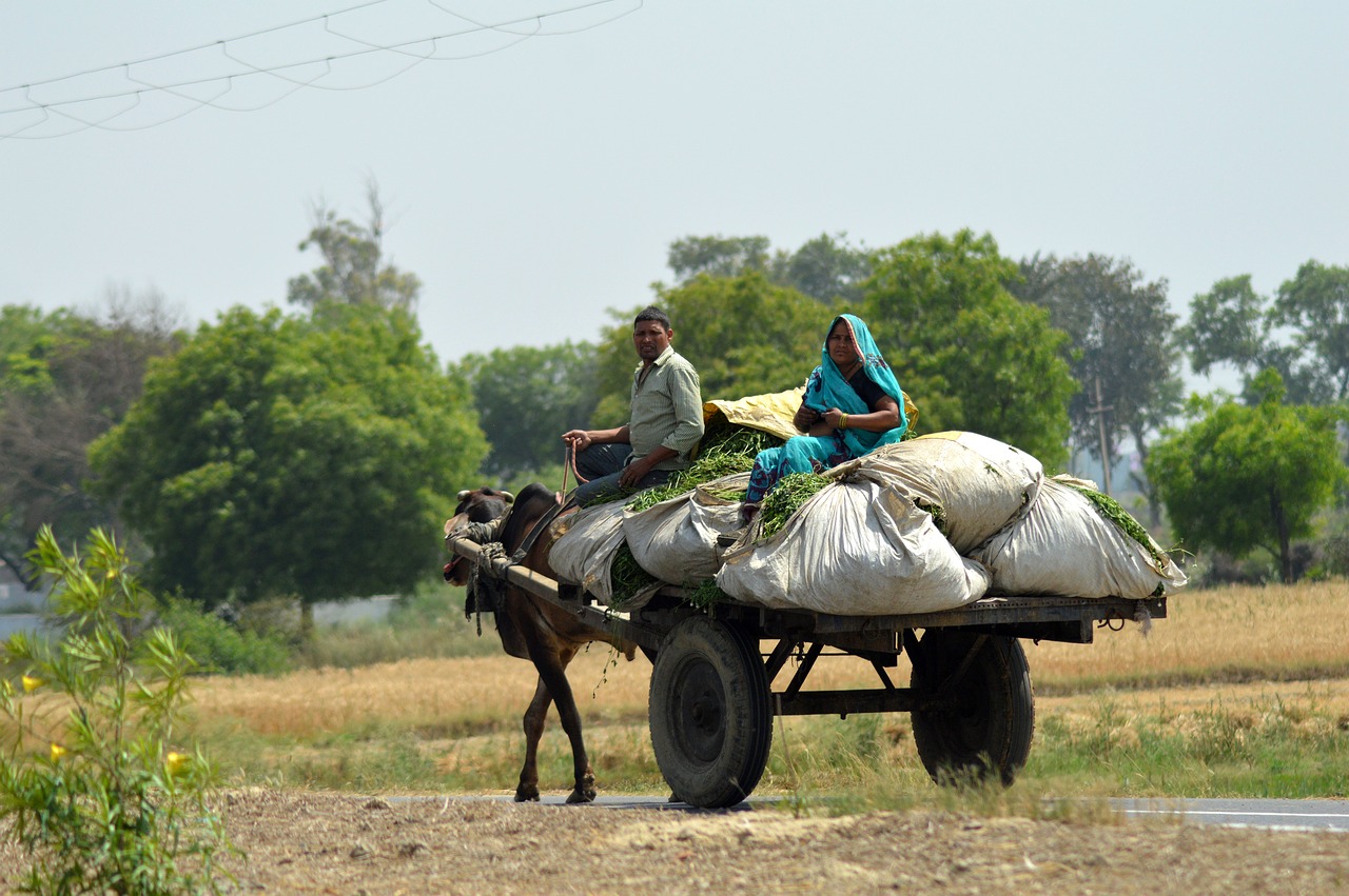 Image - bullock cart village india