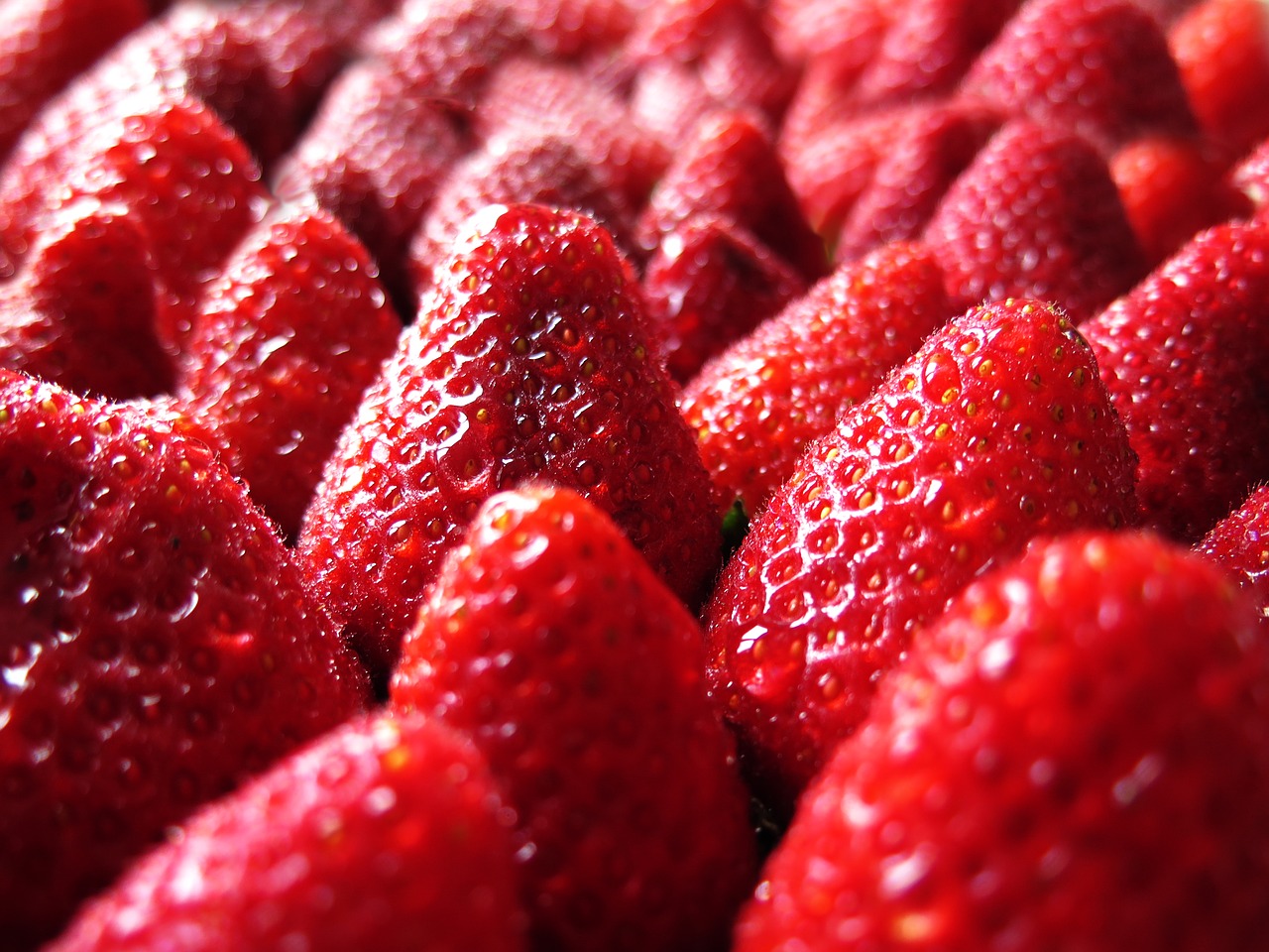 Image - strawberry red spring sweet fruits