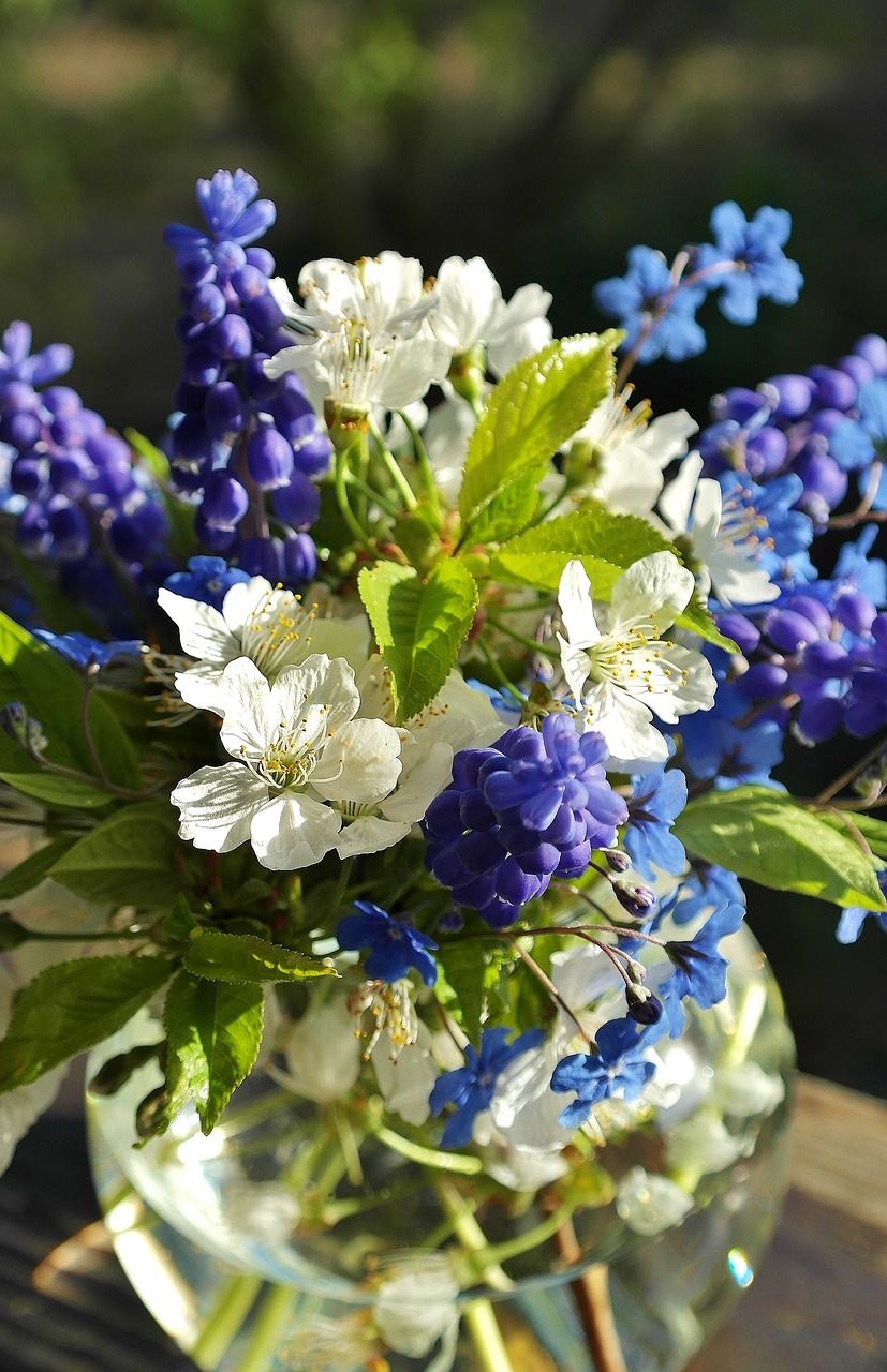 Image - flowers bouquet of flowers spring