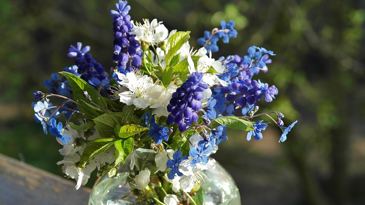 Image - flowers bouquet of flowers spring