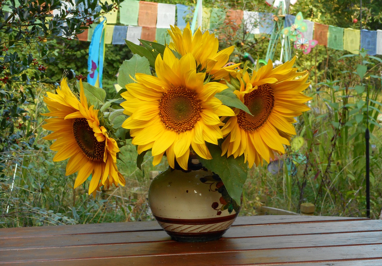 Image - sunflower bouquet sunflower field