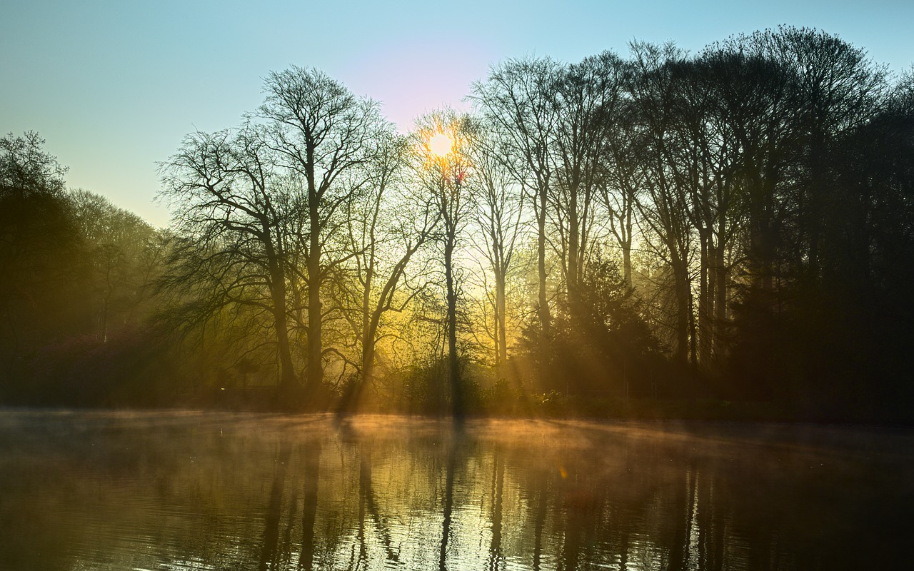 Image - lake fog light mood trees sunbeam