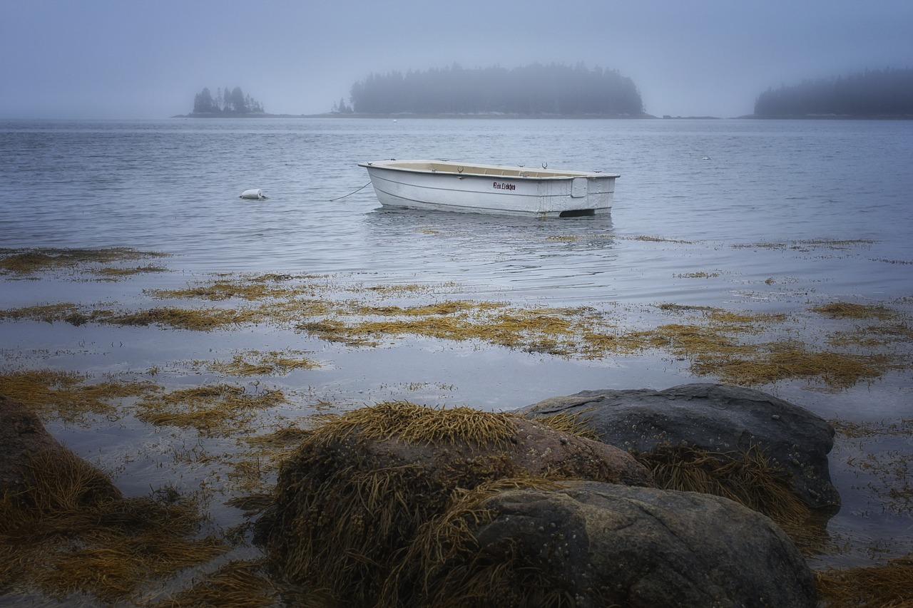 Image - rocks seaweed boat nature beach