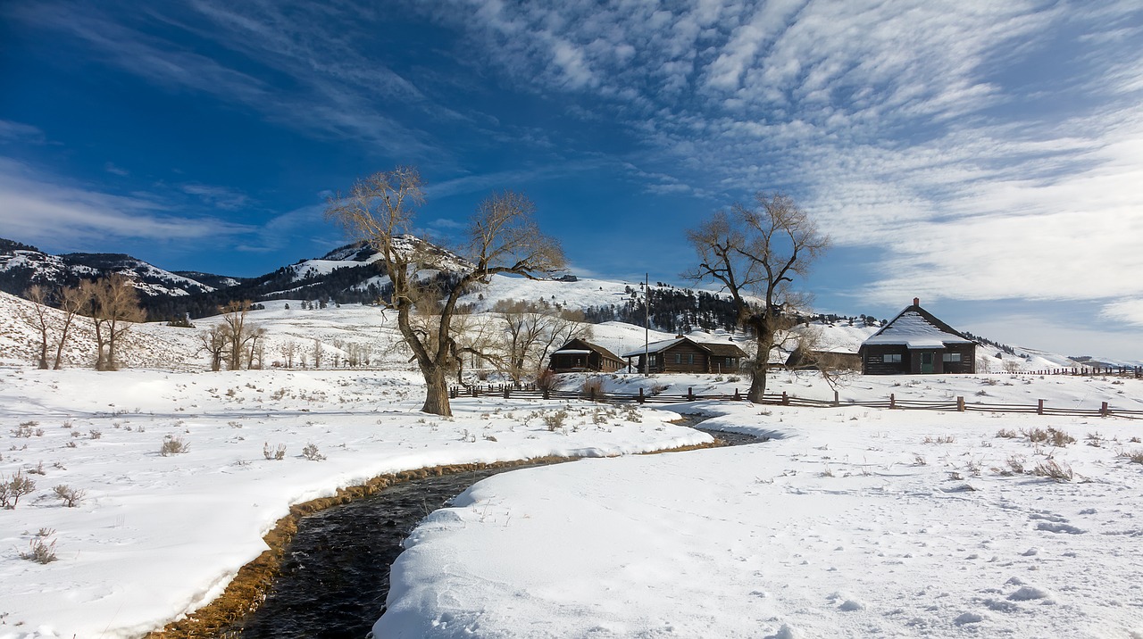 Image - yellowstone national park travel