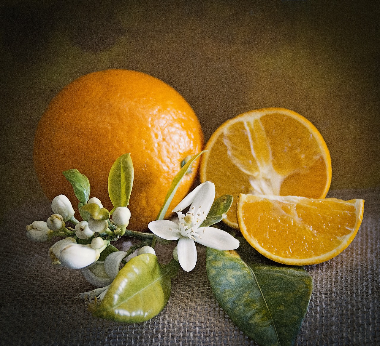 Image - oranges still life fruit color