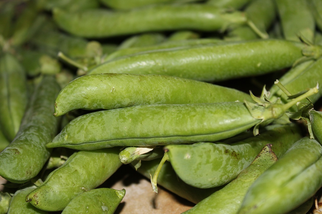 Image - green peas pea cultivation huerta