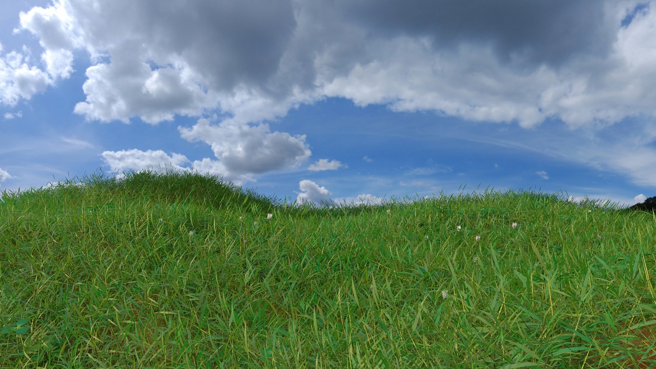 Image - grass horizon landscape graphic