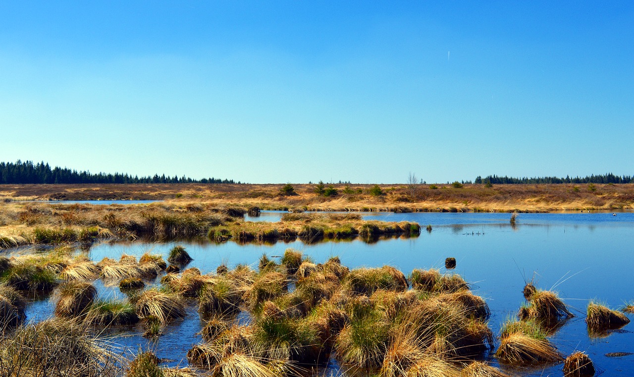 Image - moor peat bog venn high venn