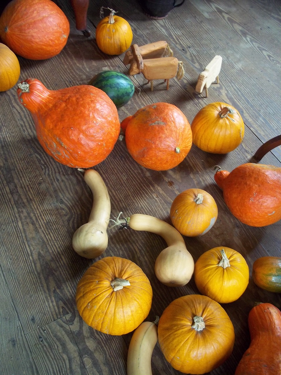 Image - rustic gourd squash fall holiday