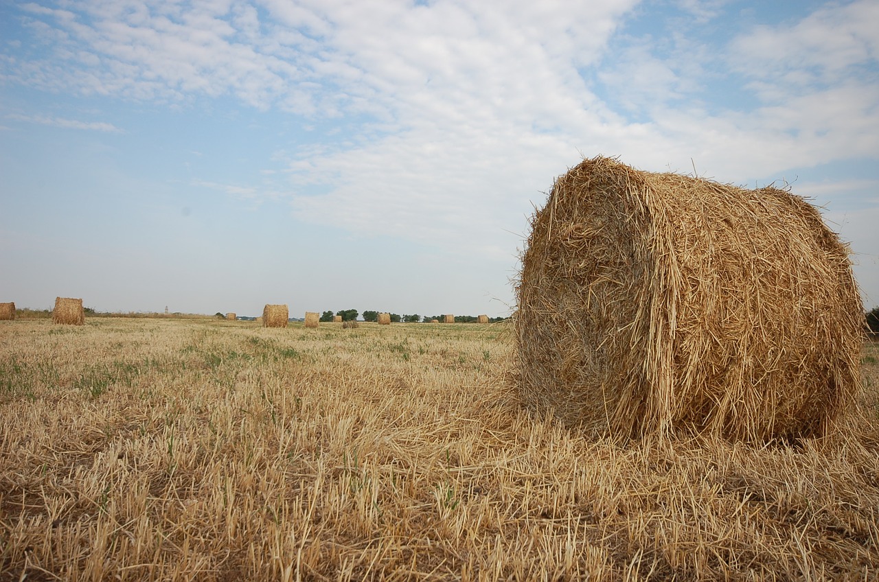 Image - campaign straw fields bales