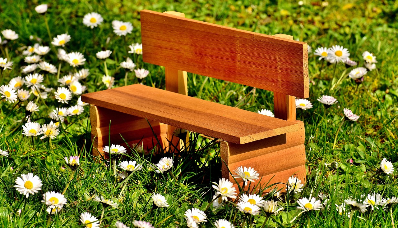 Image - bench meadow grass bank nature