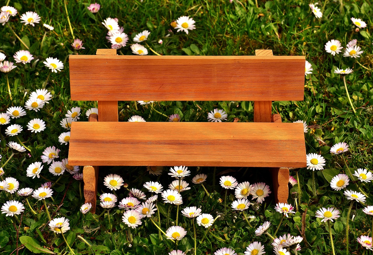 Image - bench meadow grass bank nature