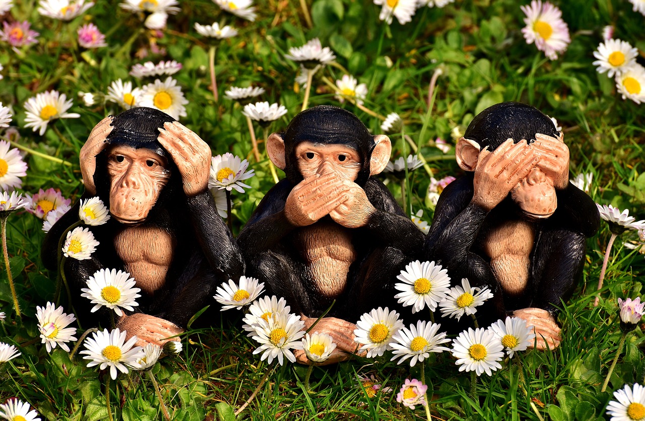 Image - not hear not see do not speak ape