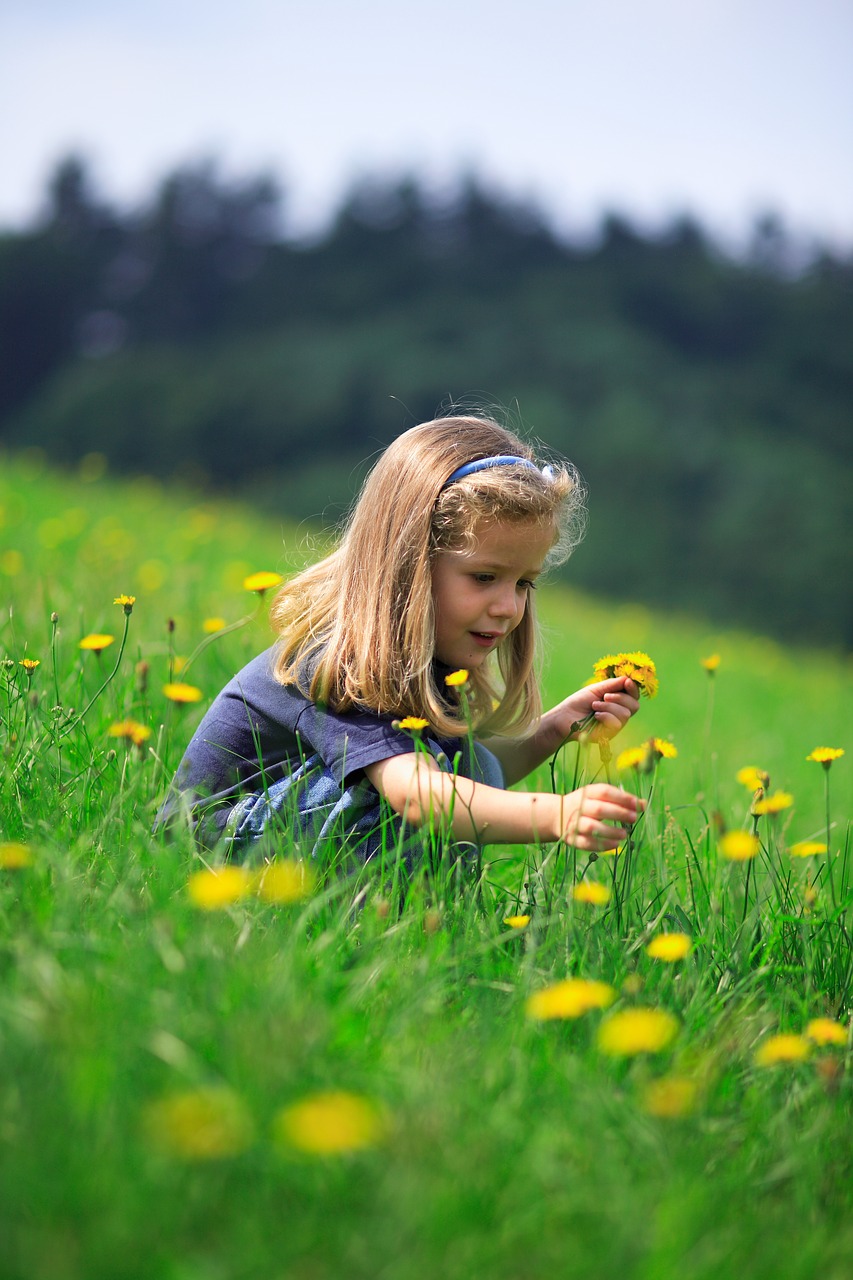 Image - odenwald children girl meadow