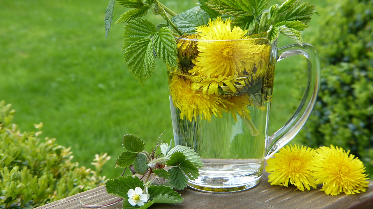 Image - dandelion taraxum tee