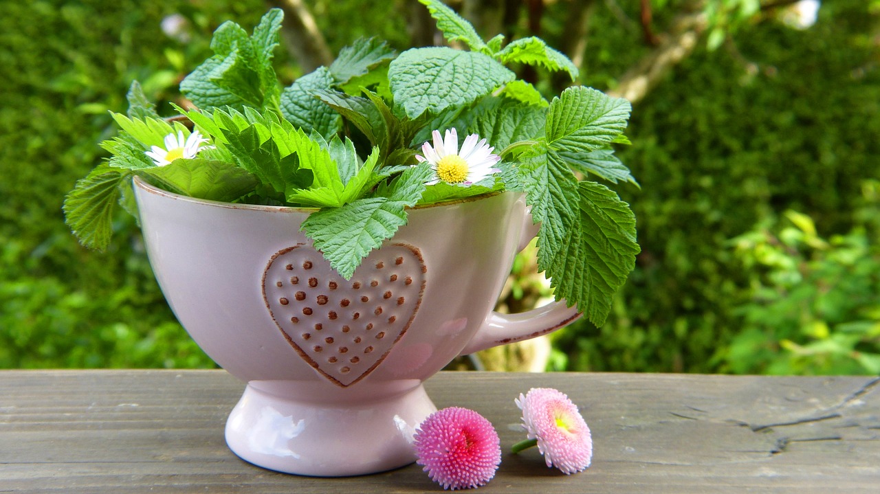 Image - herbs leaves flowers teacup heart