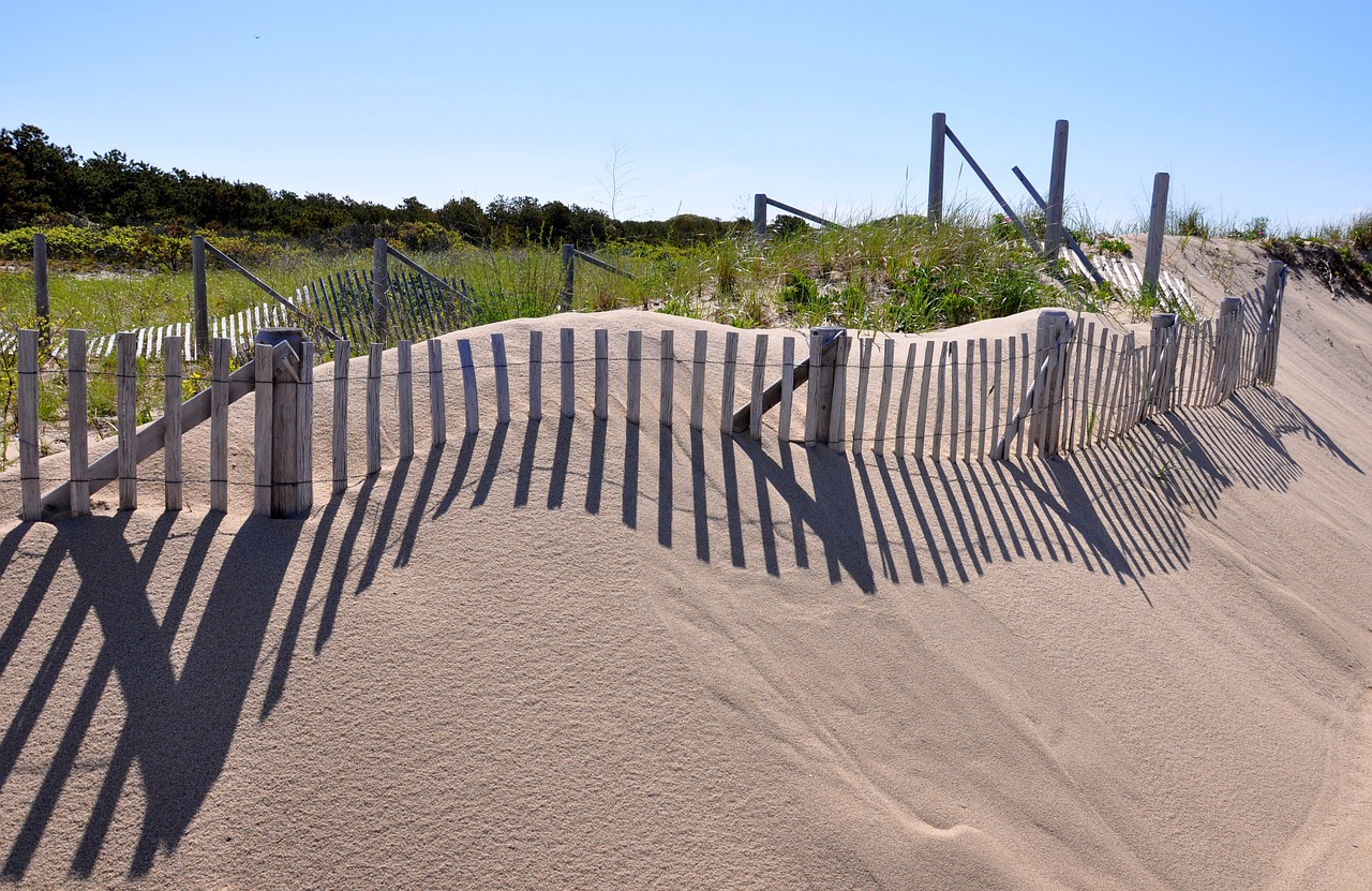 Image - cape cod provincetown dune grass