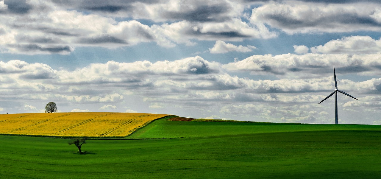 Image - fields oilseed rape yellow