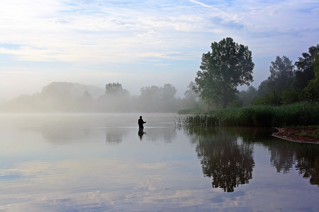 Image - losheimer reservoir badesee angler