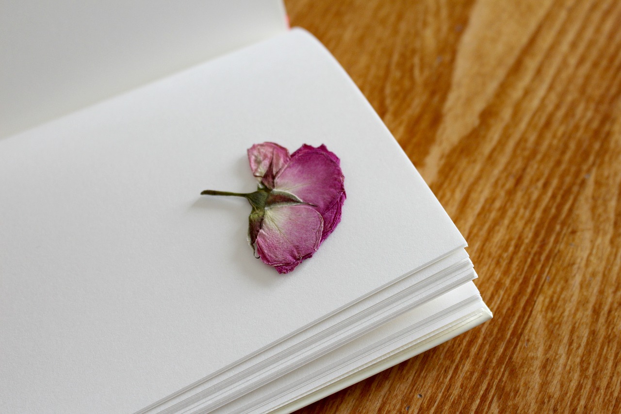 Image - rose book notebook