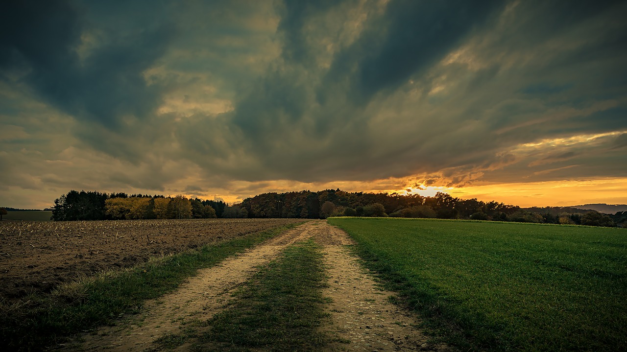 Image - lane sunset sky nature sun