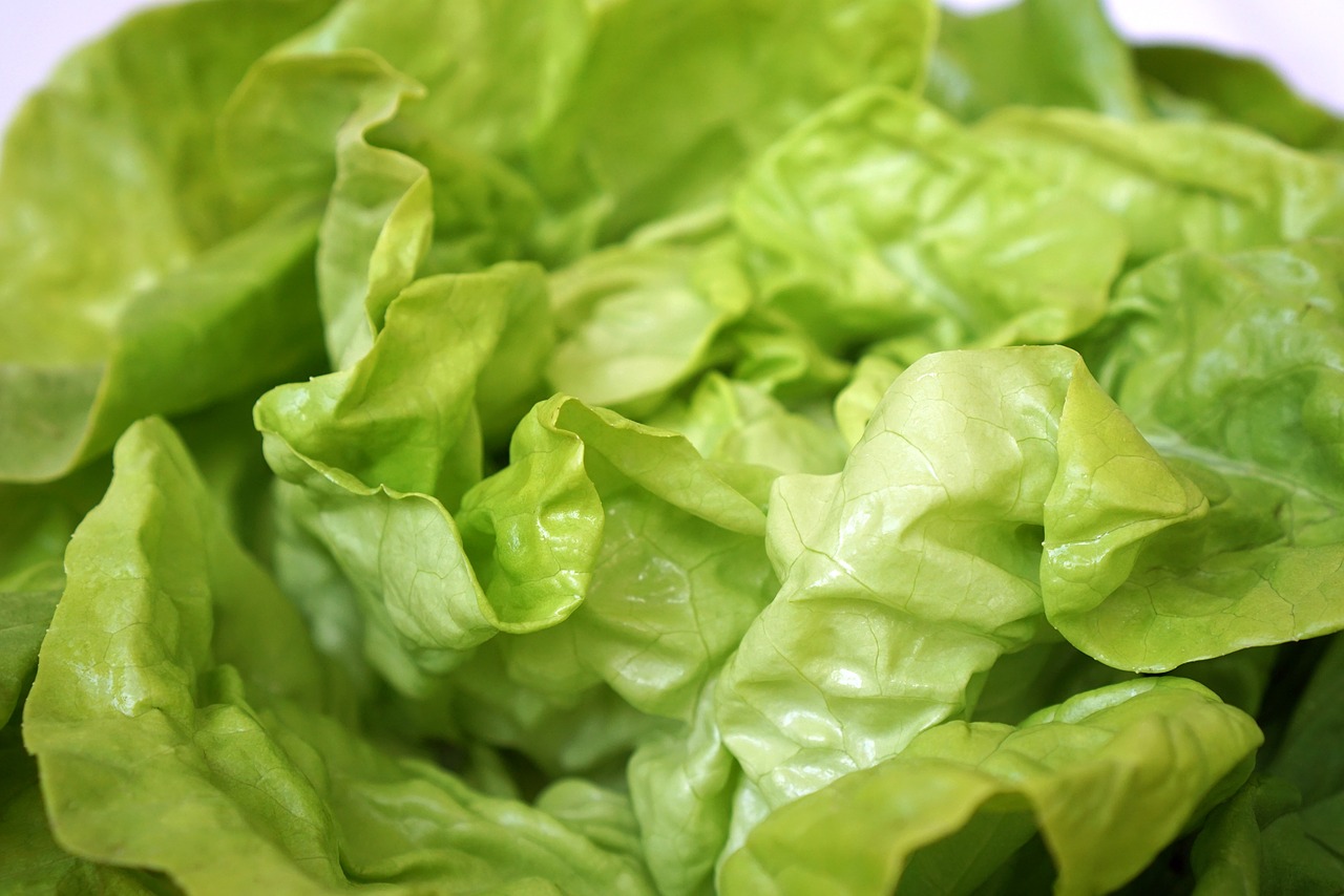 Image - green salad vegetables food dish