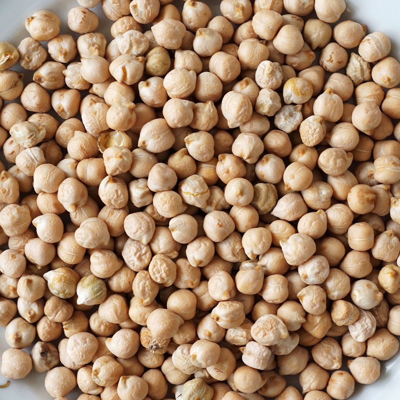 Image - chickpeas grains eating