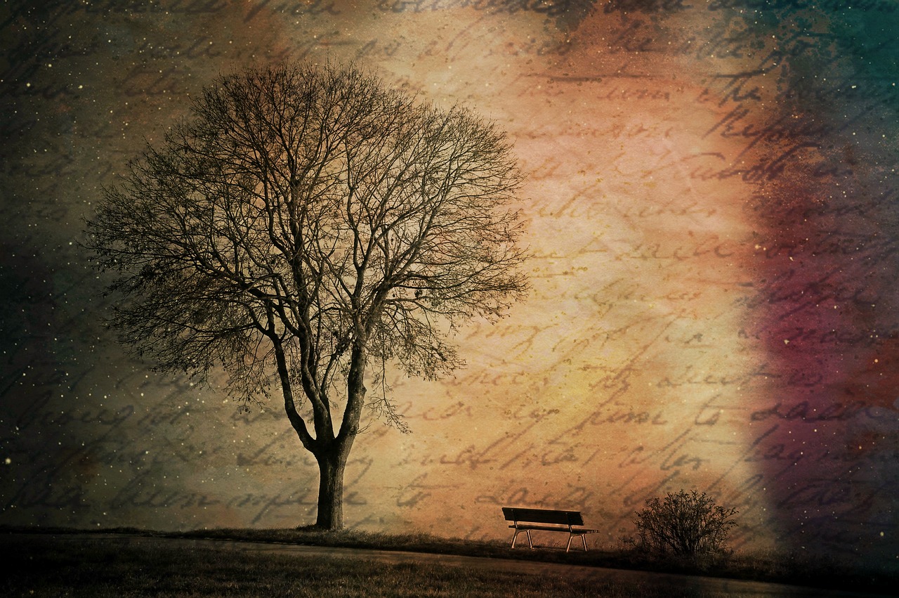 Image - texture background tree bare tree