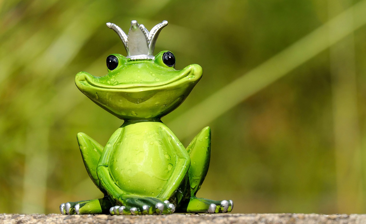 Image - frog figure king cute funny sweet