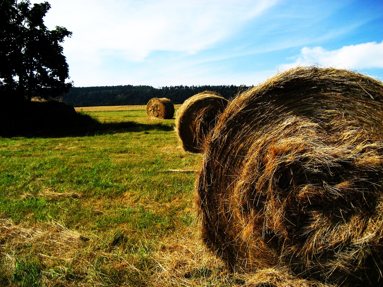 Image - farm country agriculture rural