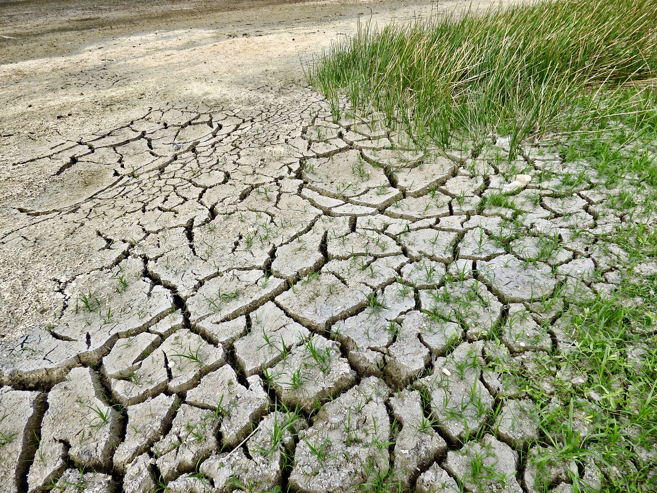 Image - climate change drought climate dry