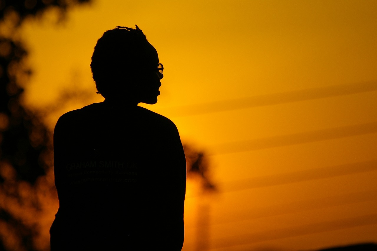 Image - africa sunsets landscape safari