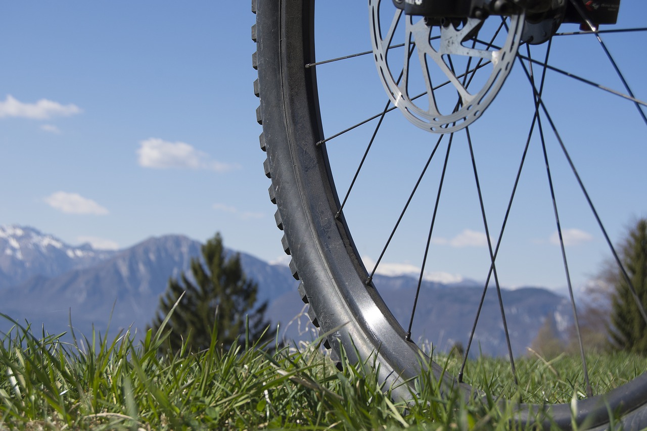 Image - wheel spokes close rim mature