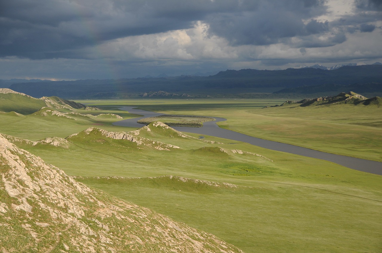 Image - palestinian sound brook in xinjiang