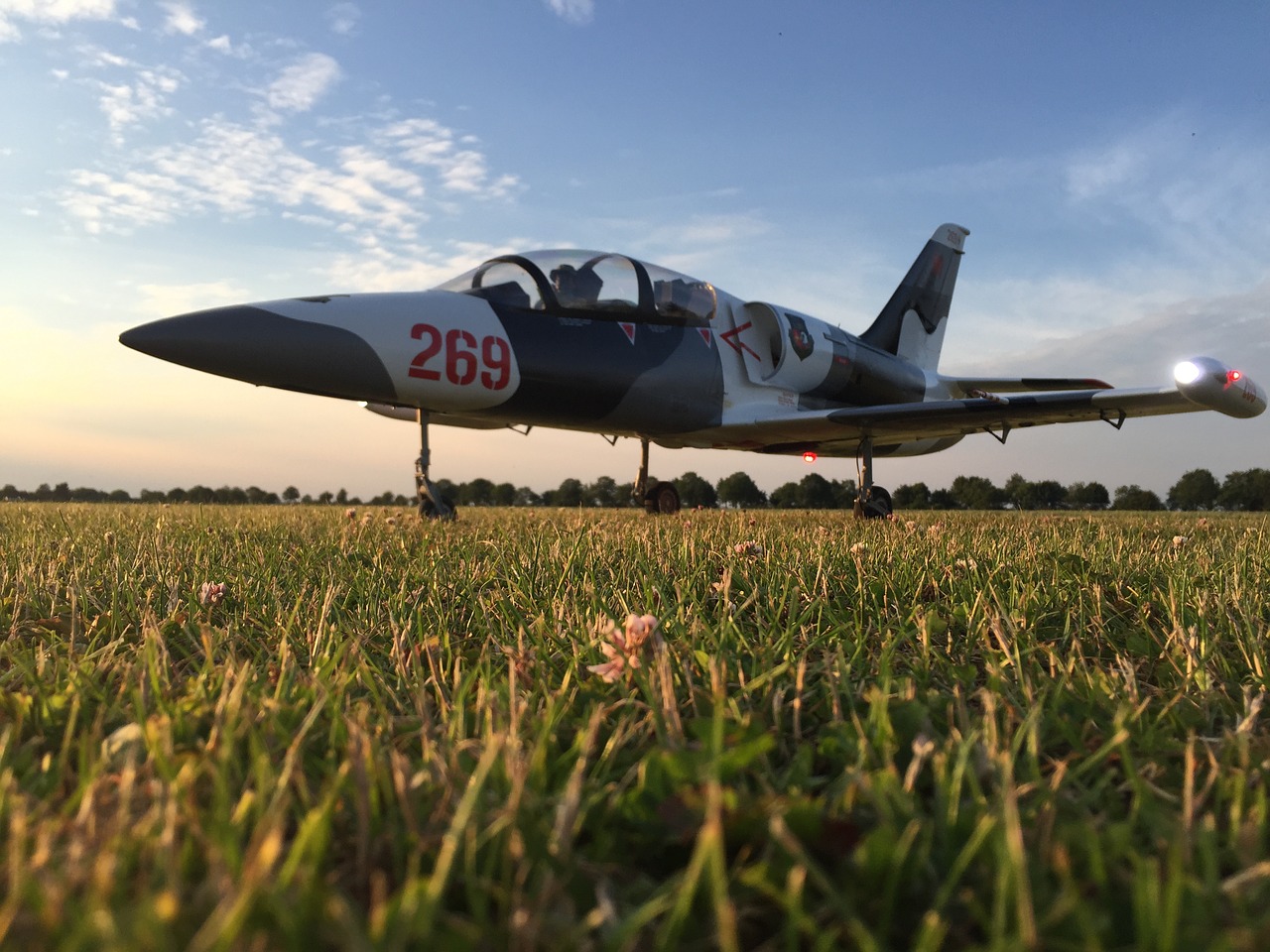 Image - albatros l39 plane military