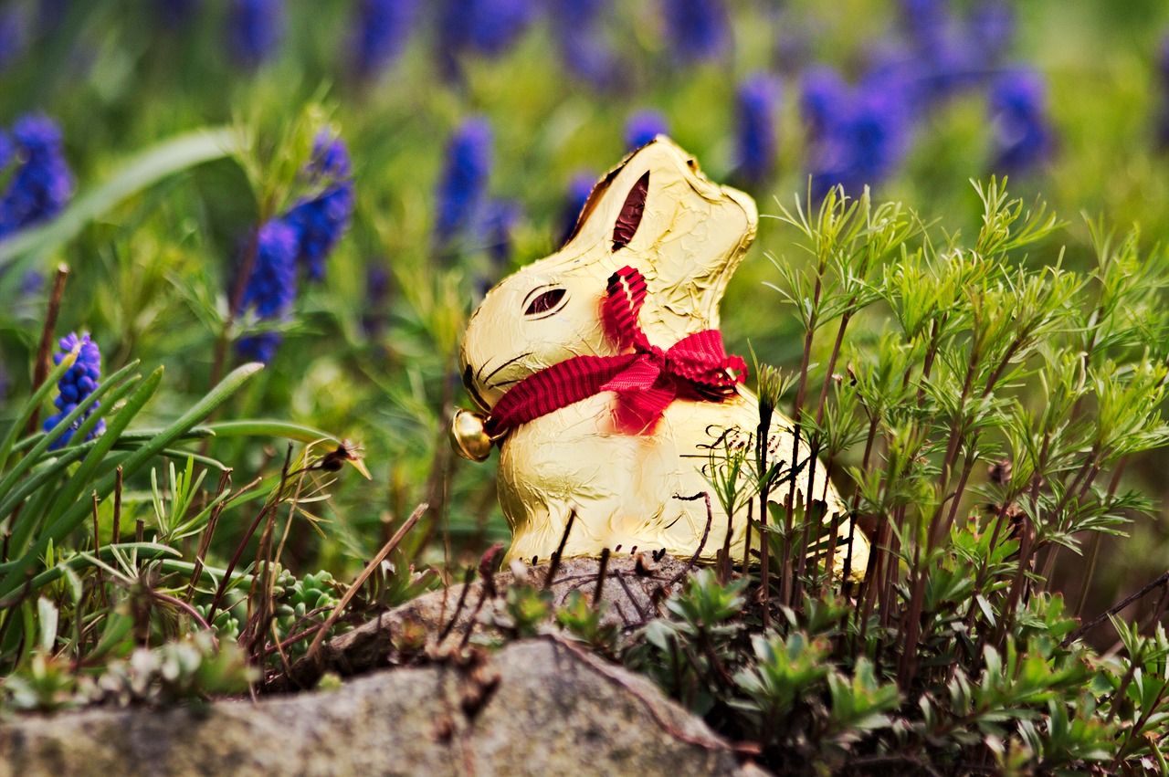 Image - easter lindt gold bunny nature