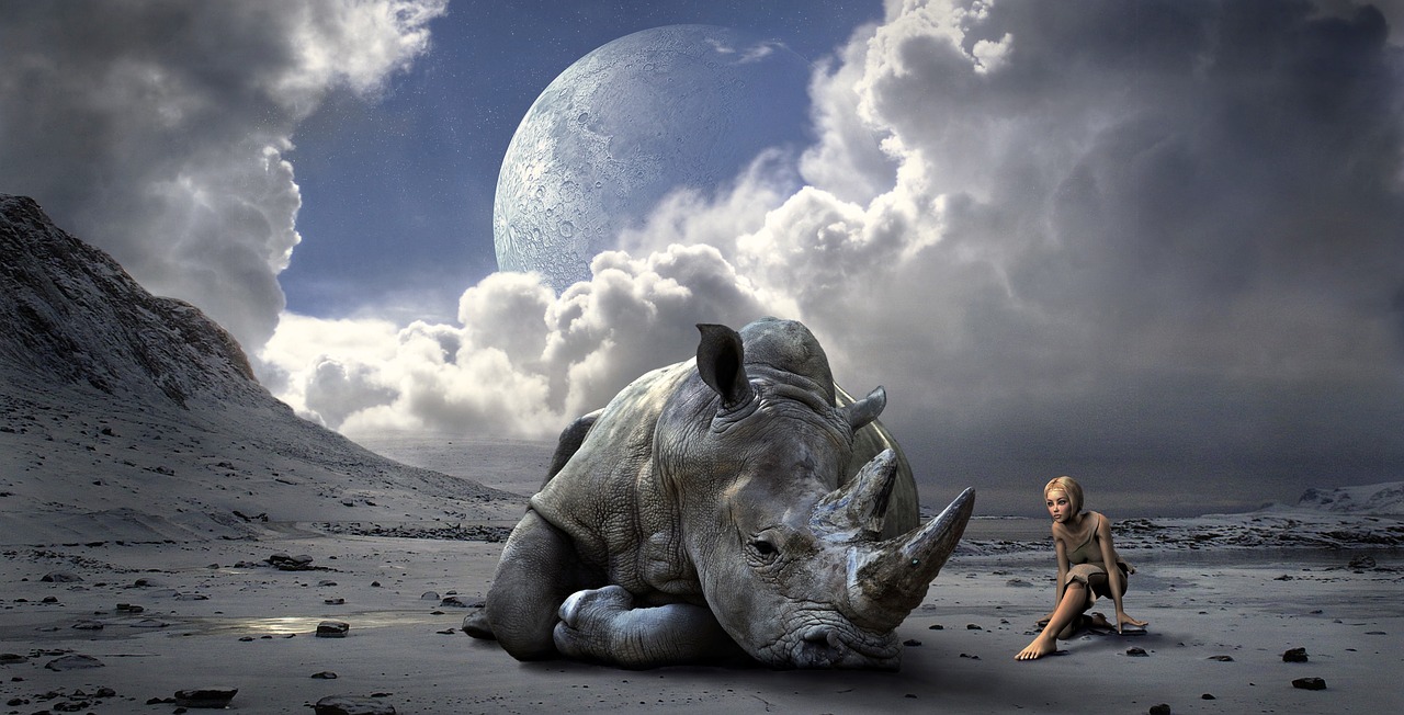 Image - mood landscape rhino fantasy light