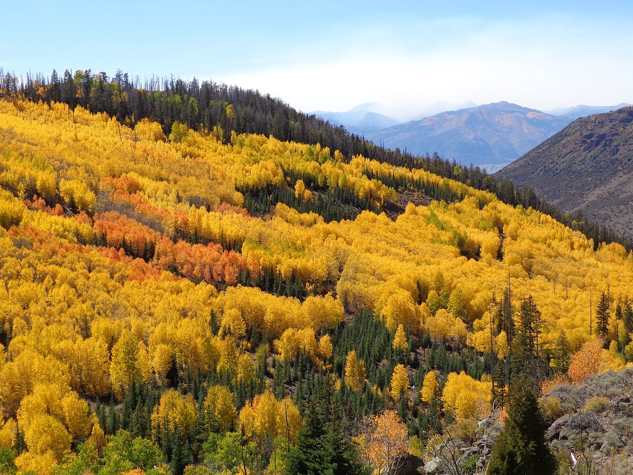 Image - autumn landscape colorful scenic