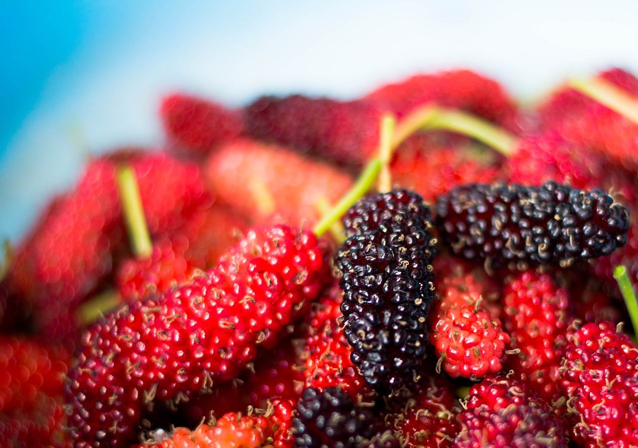 Image - mulberry fruit