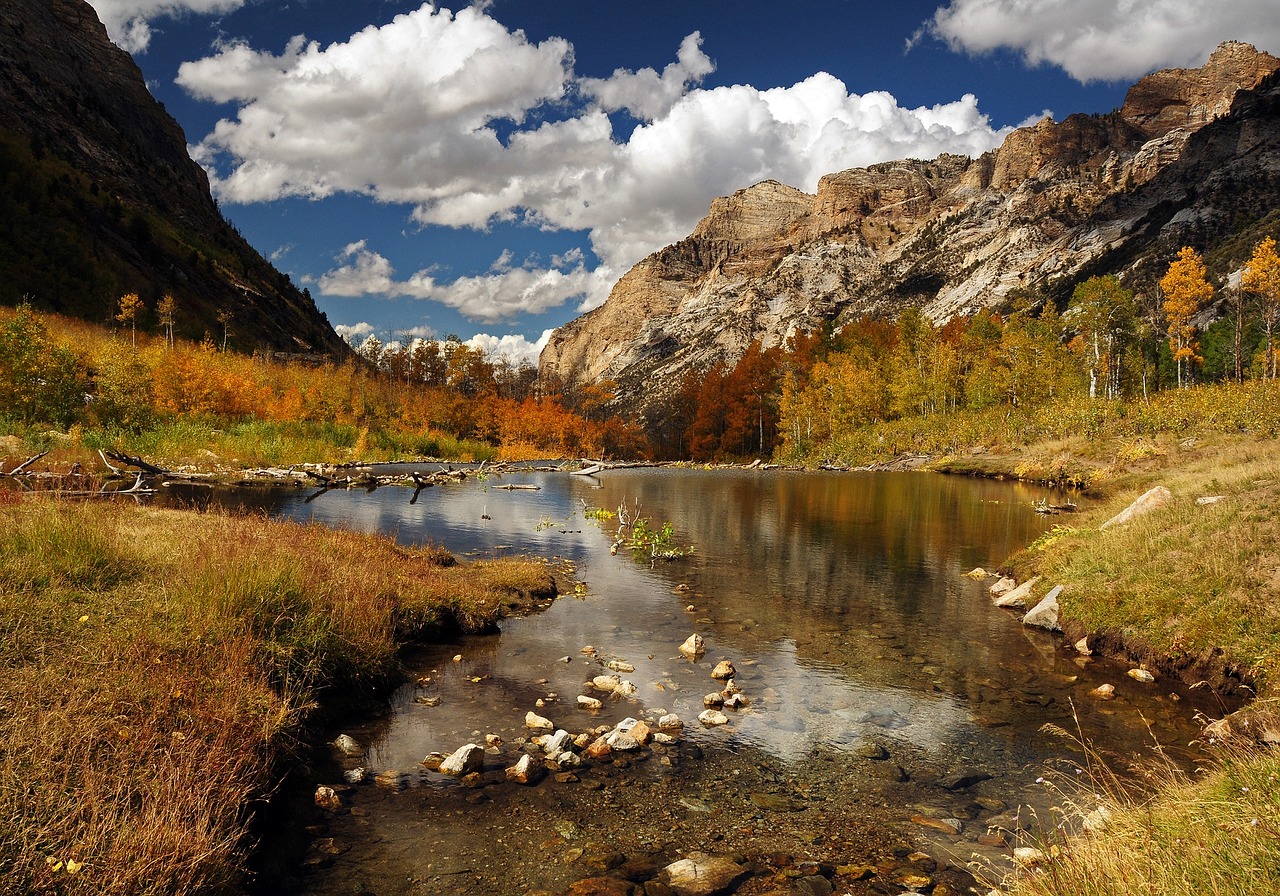 Image - landscape scenic autumn beaver pond