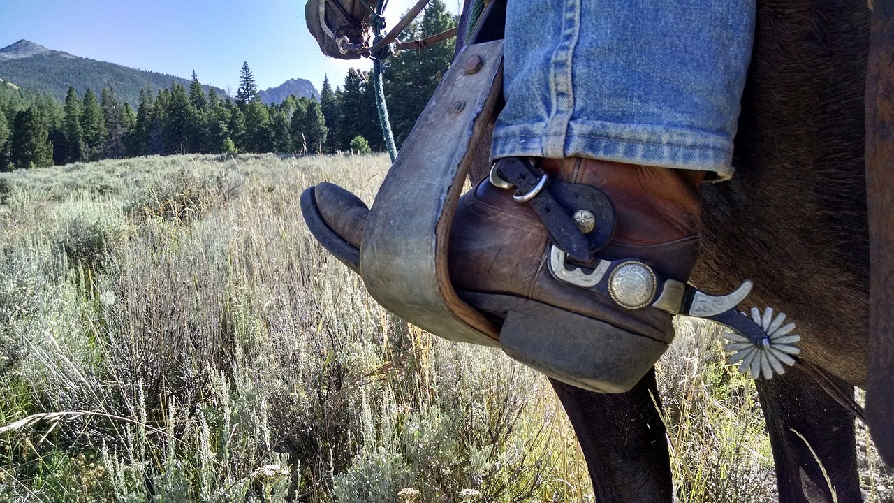 Image - cowboy horse boot spurs saddle