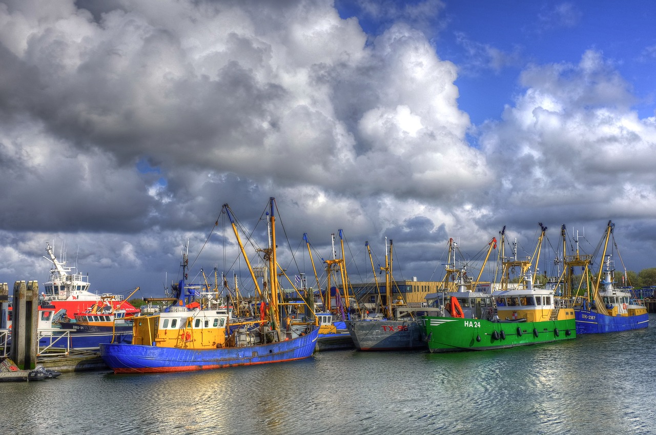 Image - lauwersoog port fishing boats