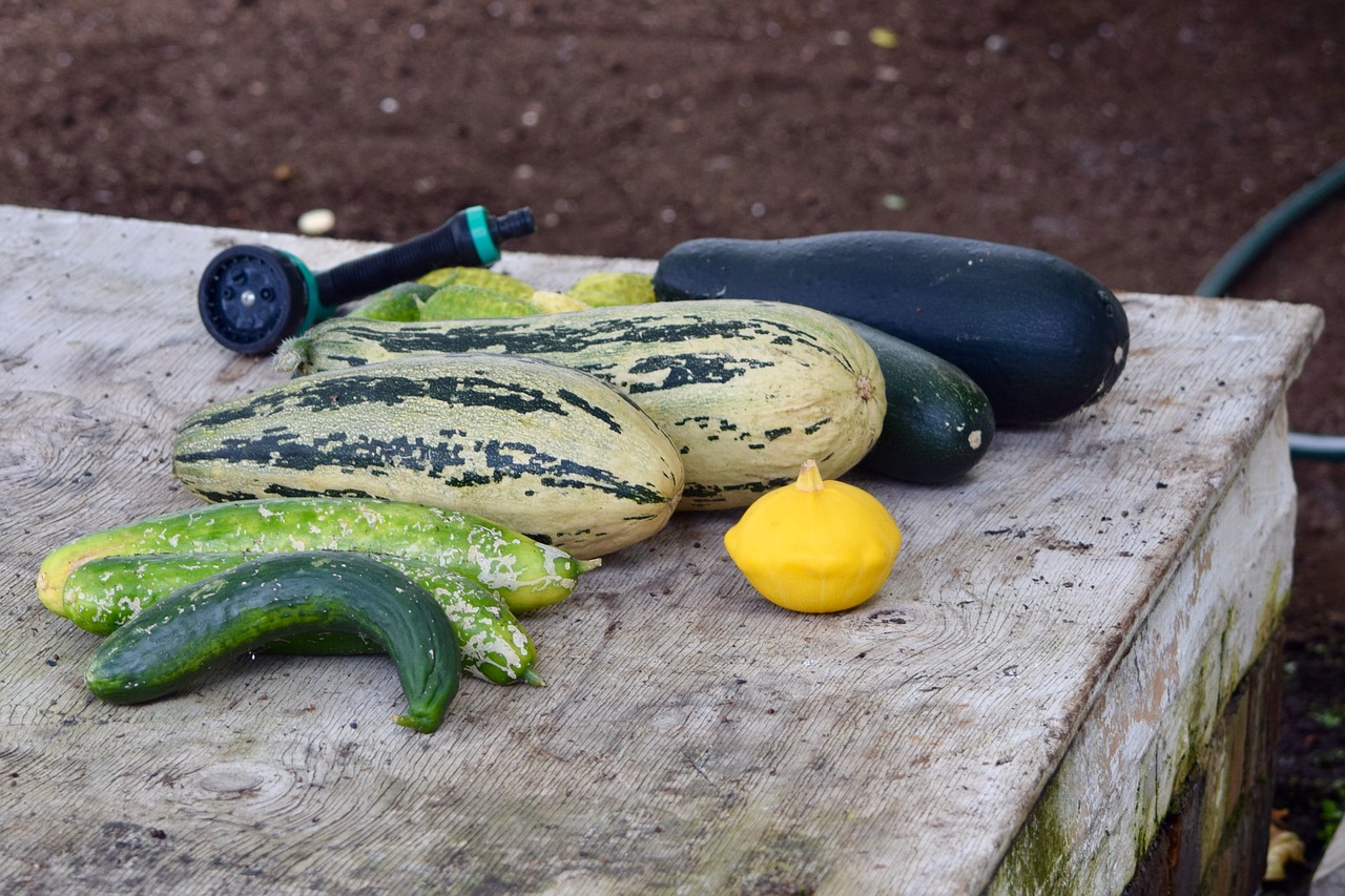 Image - greenhouse aubergine vegetable