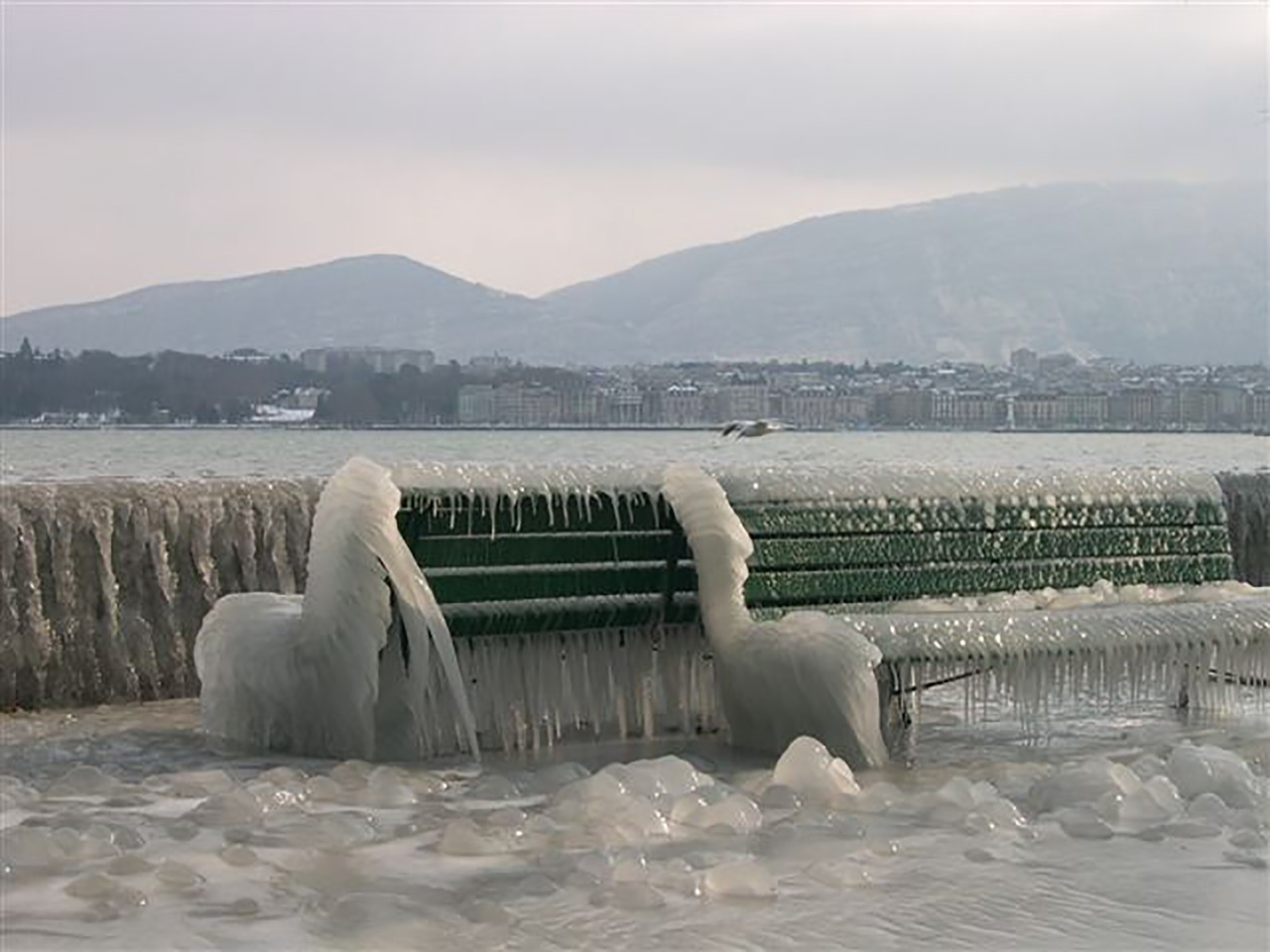 Image - cold snow winter white nature