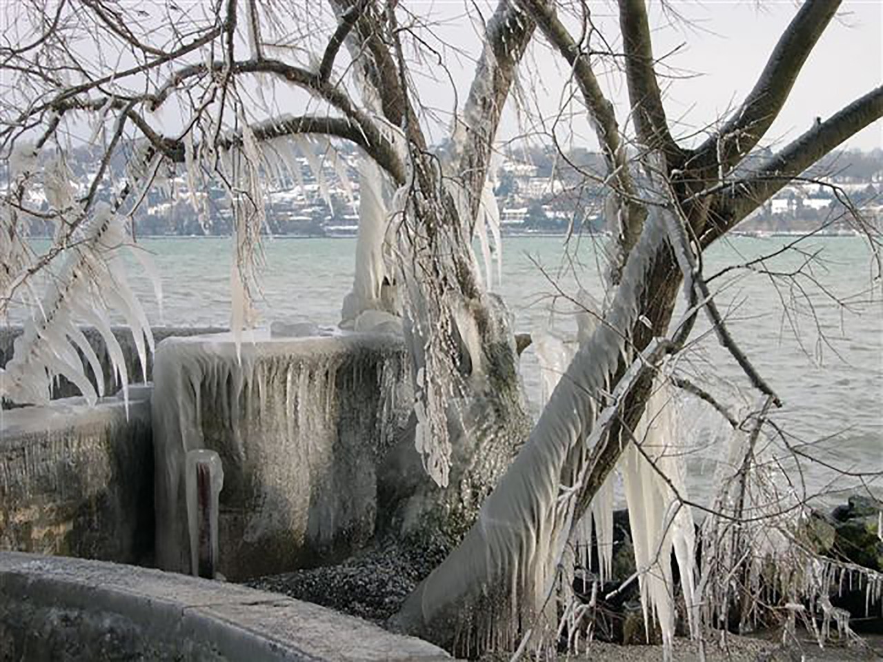 Image - cold snow winter ice landscapes