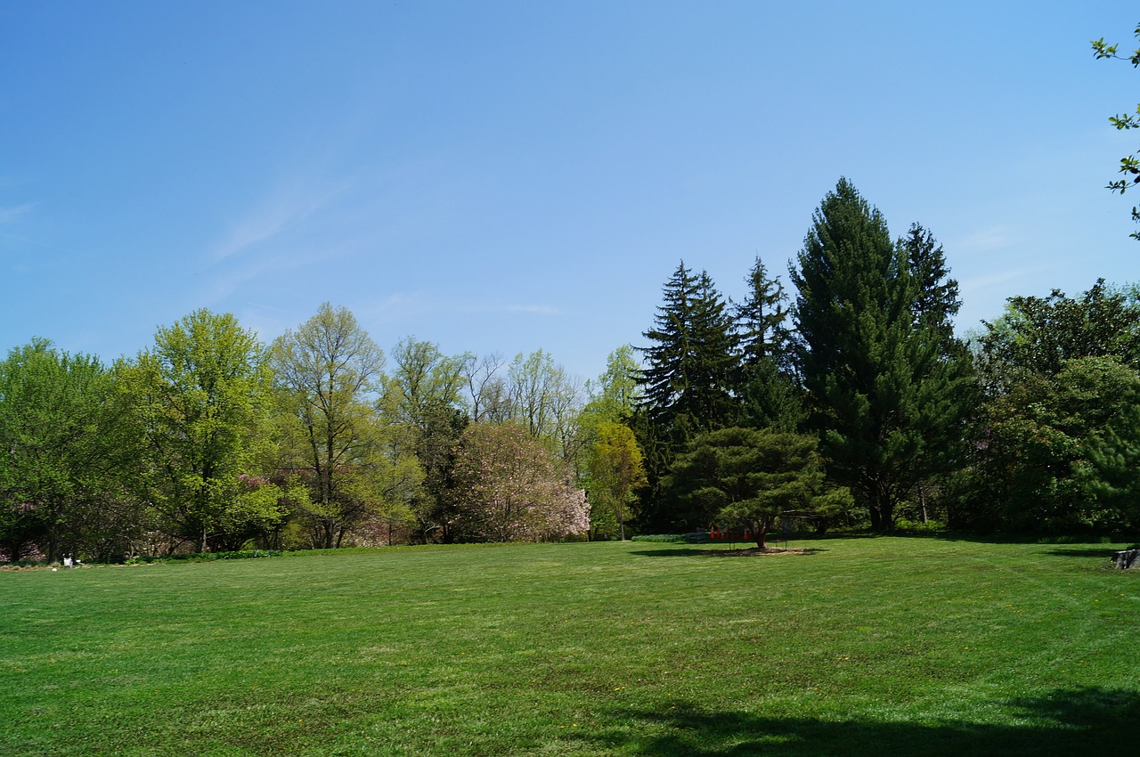 Image - park yard trees landscape