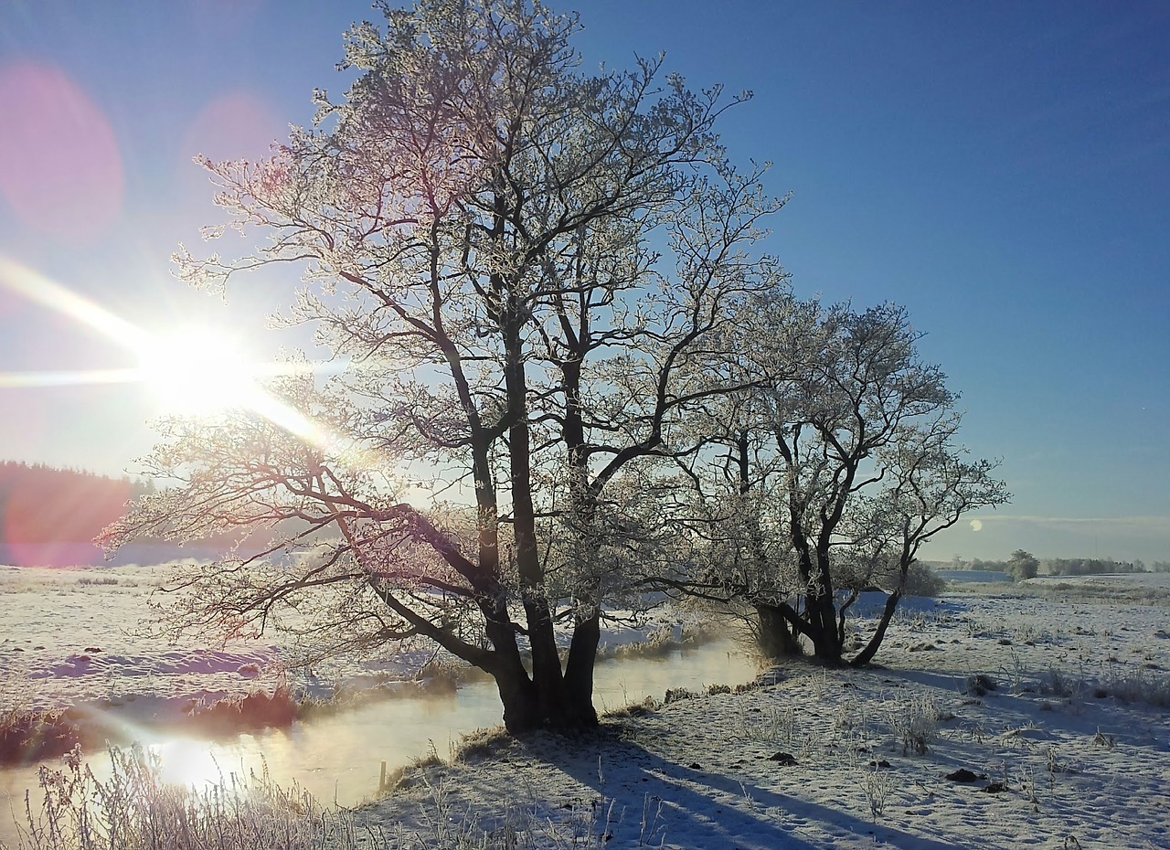 Image - winter rim natural ansager