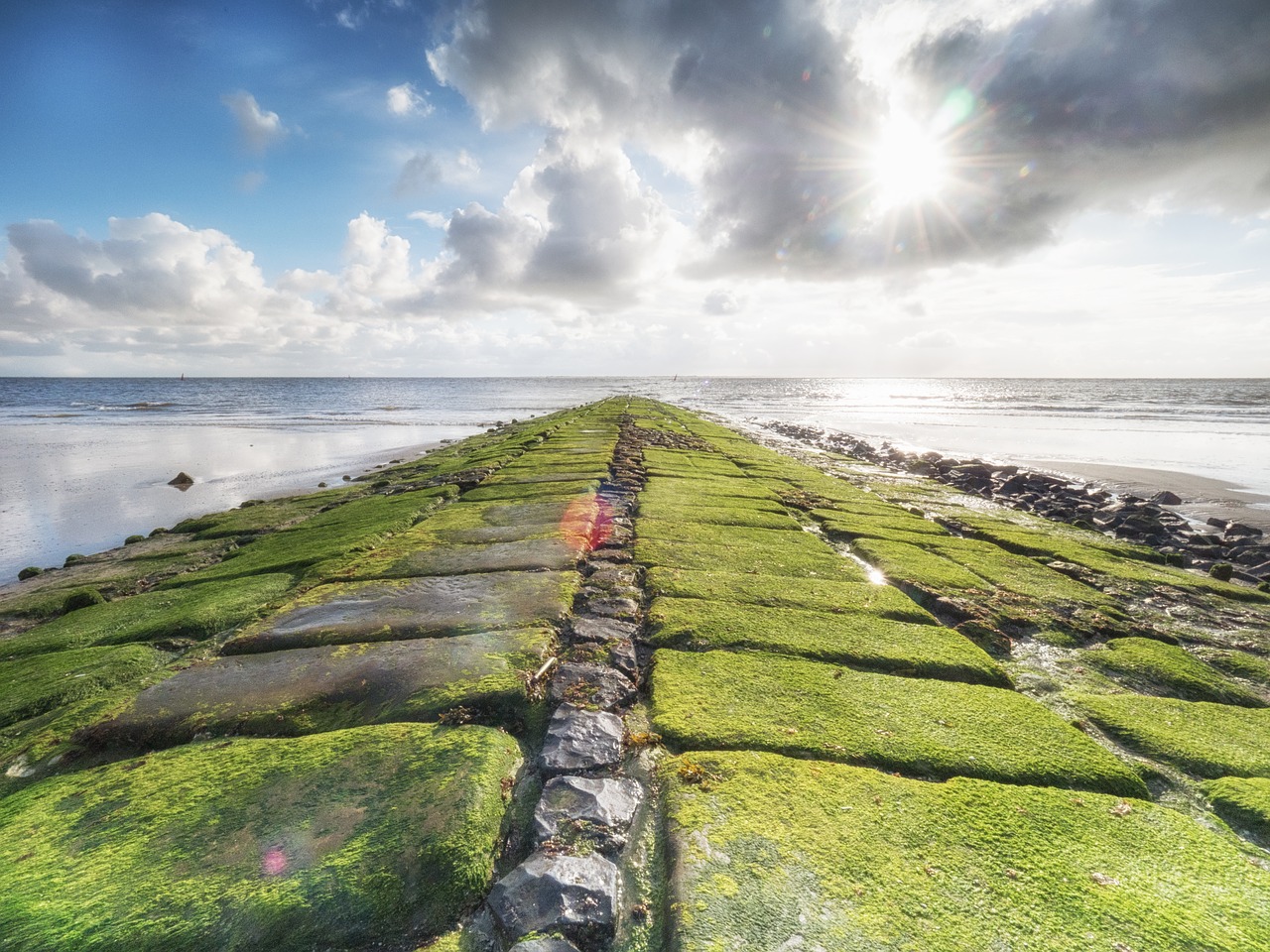 Image - norderney groyne beach north sea