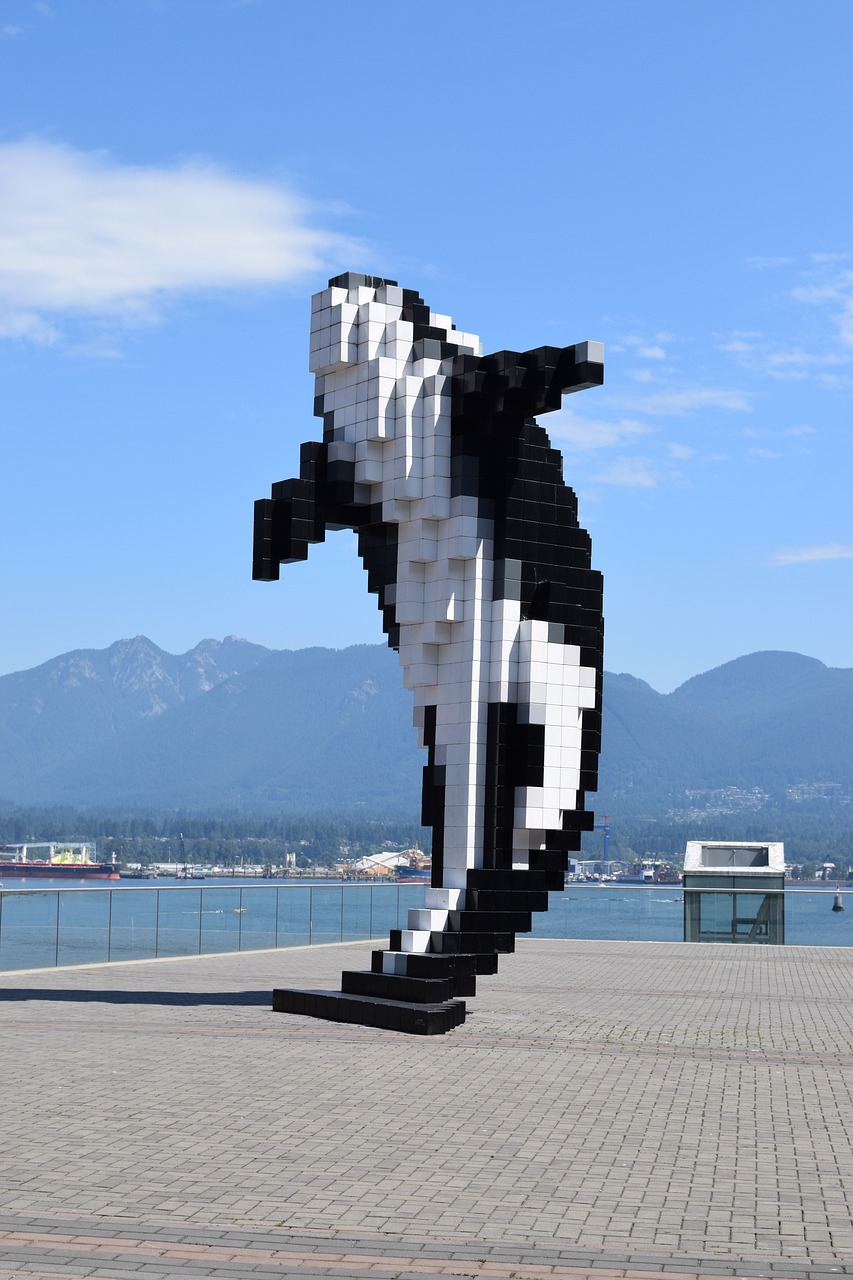 Image - whale vancouver mountains tourism