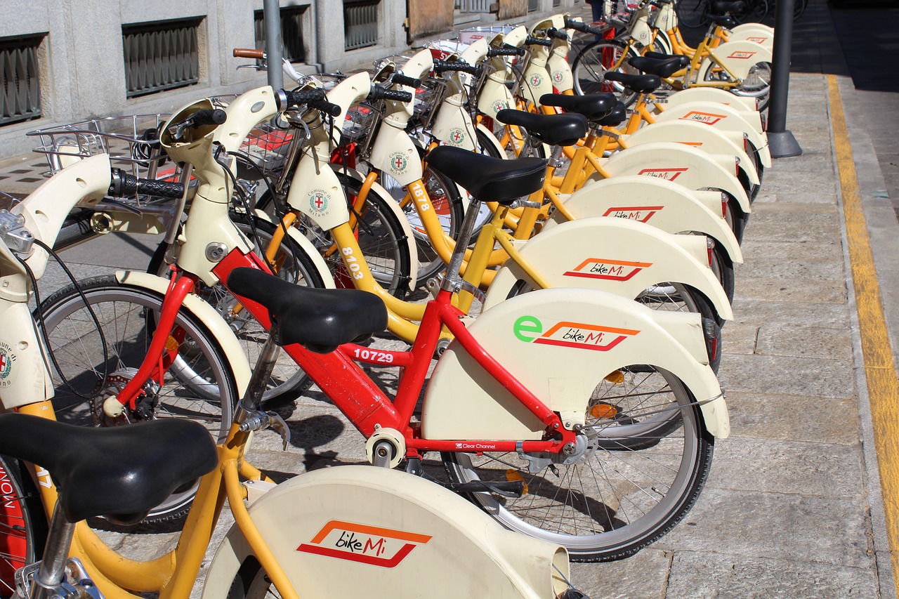 Image - bike sharing bicycles